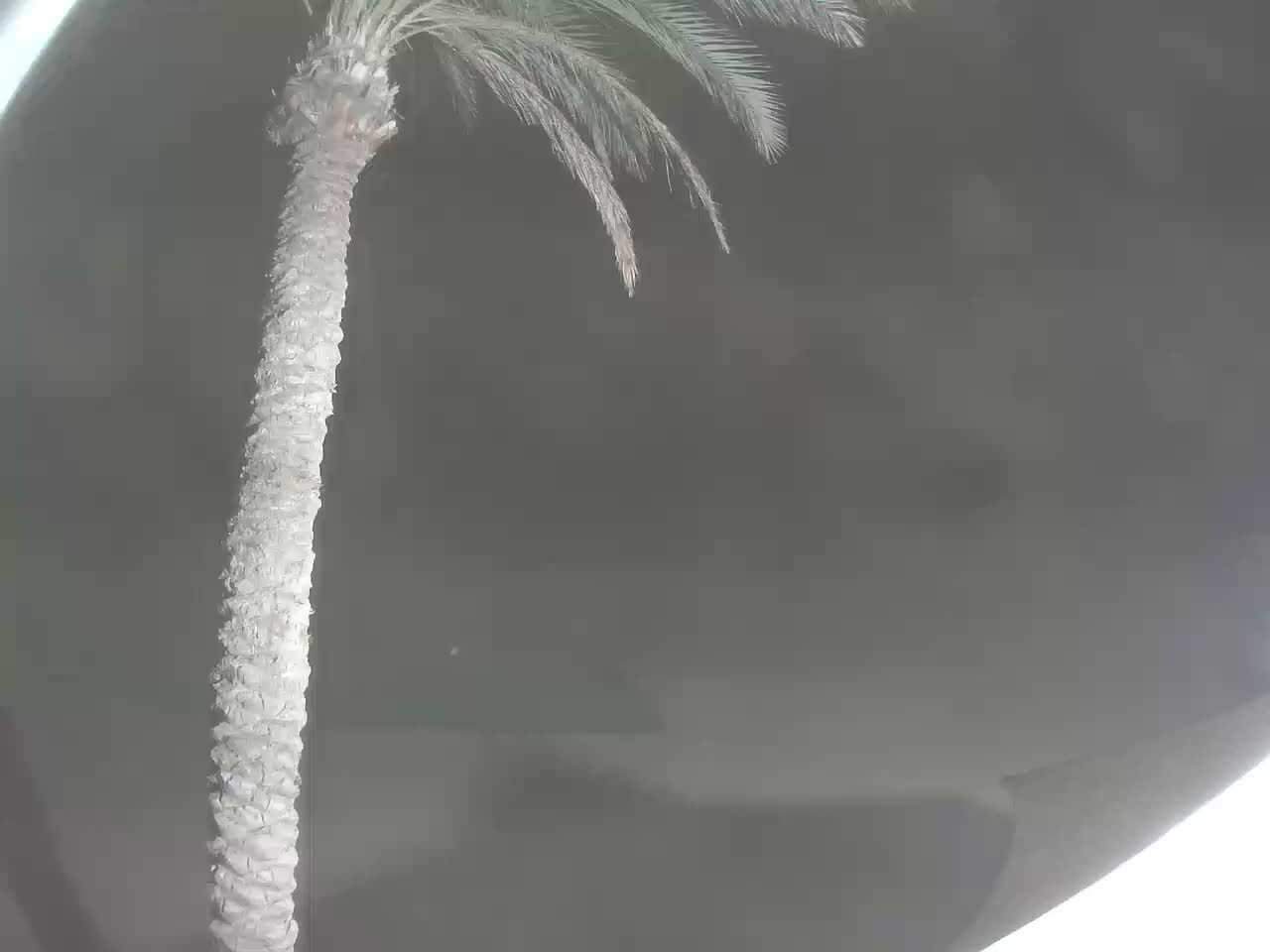 Živá webkamera — kite pláž a laguna Kitepower El Gouna